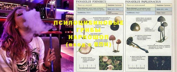 марки nbome Тихорецк
