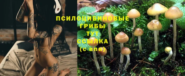 MESCALINE Верхний Тагил