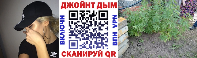 Канабис MAZAR  Кострома 
